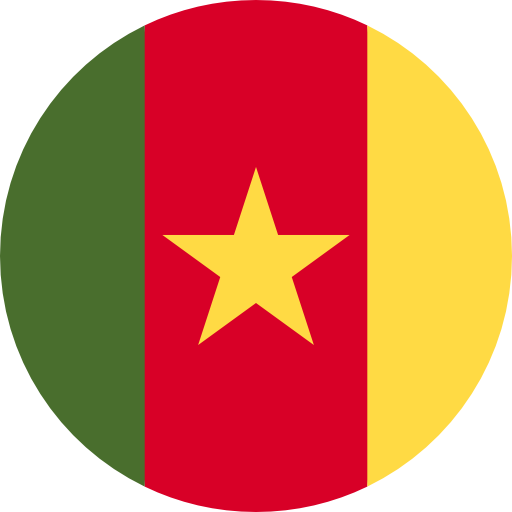 Cameroon Get SMS Code | Receive SMS Code Buy Phone Number